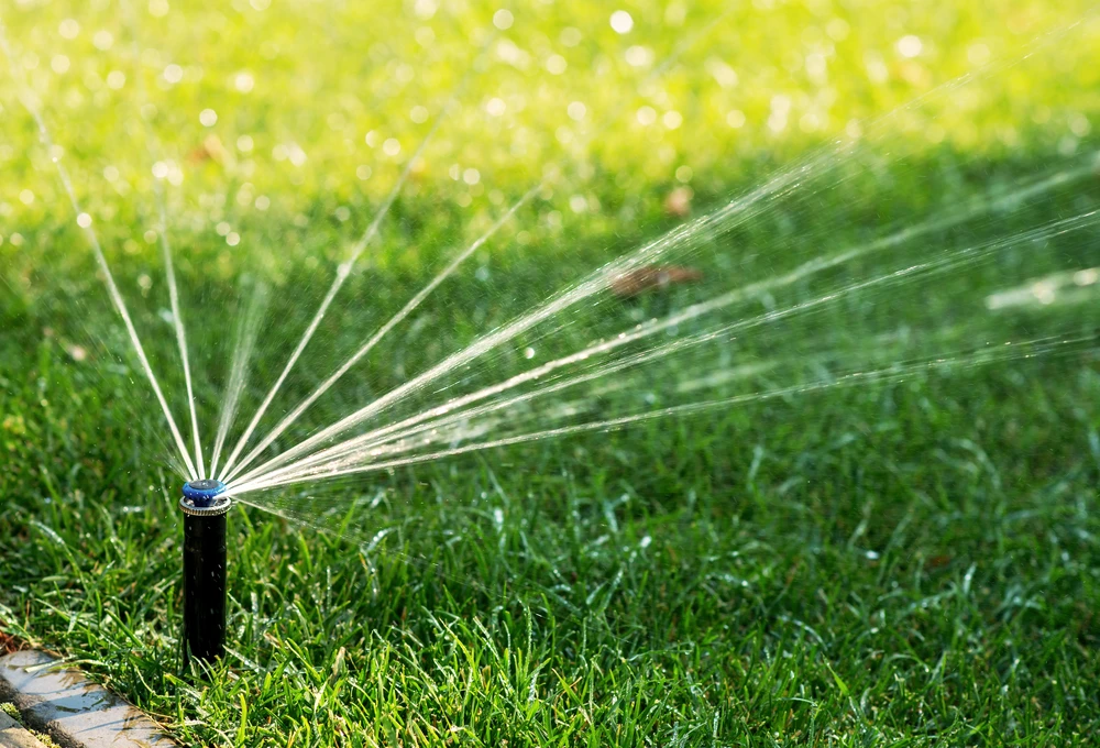 Close-up of a pop-up irrigation head spraying evenly after winter start-up for healthy lawn hydration.