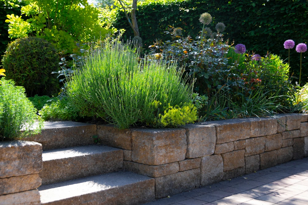 Retaining walls built from natural stone blocks, holding a raised garden bed with shrubs and flowering plants.
